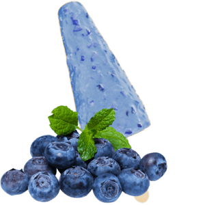 Blueberry kulfi